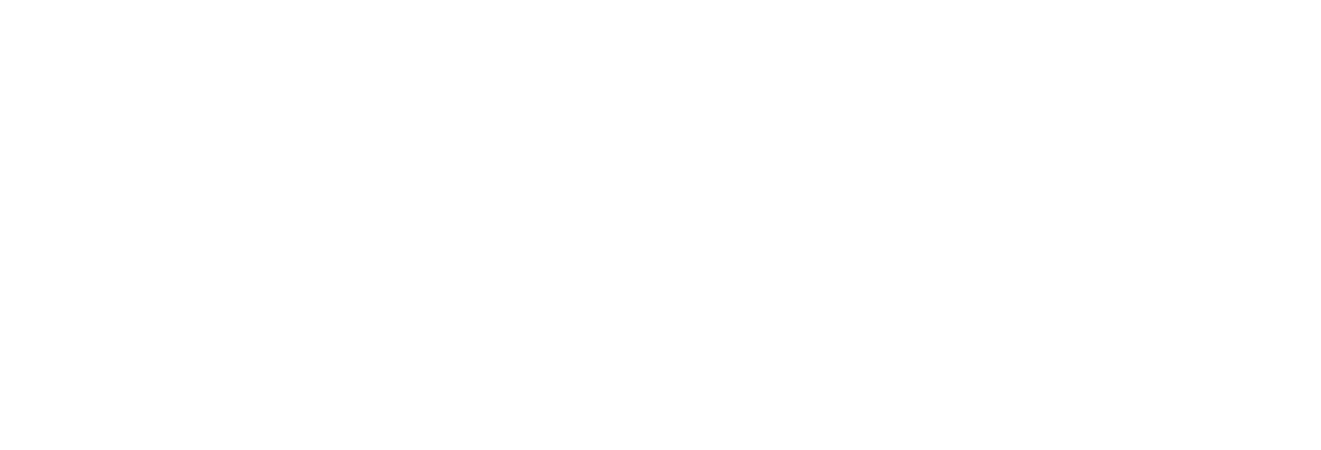 Heise Solutions
